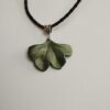 Ginkgo levél